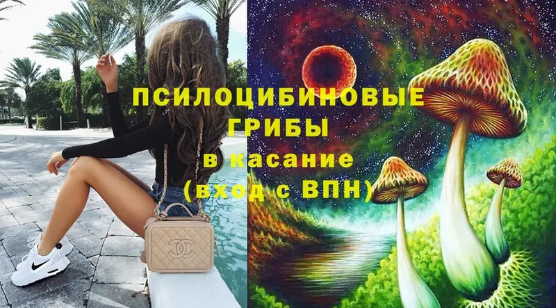 где можно купить   Красноармейск  Галлюциногенные грибы MAGIC MUSHROOMS 